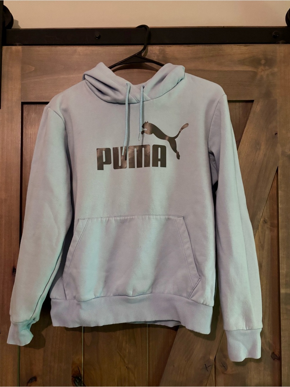 Puma Women's Pastel Blue Logo Hoodie